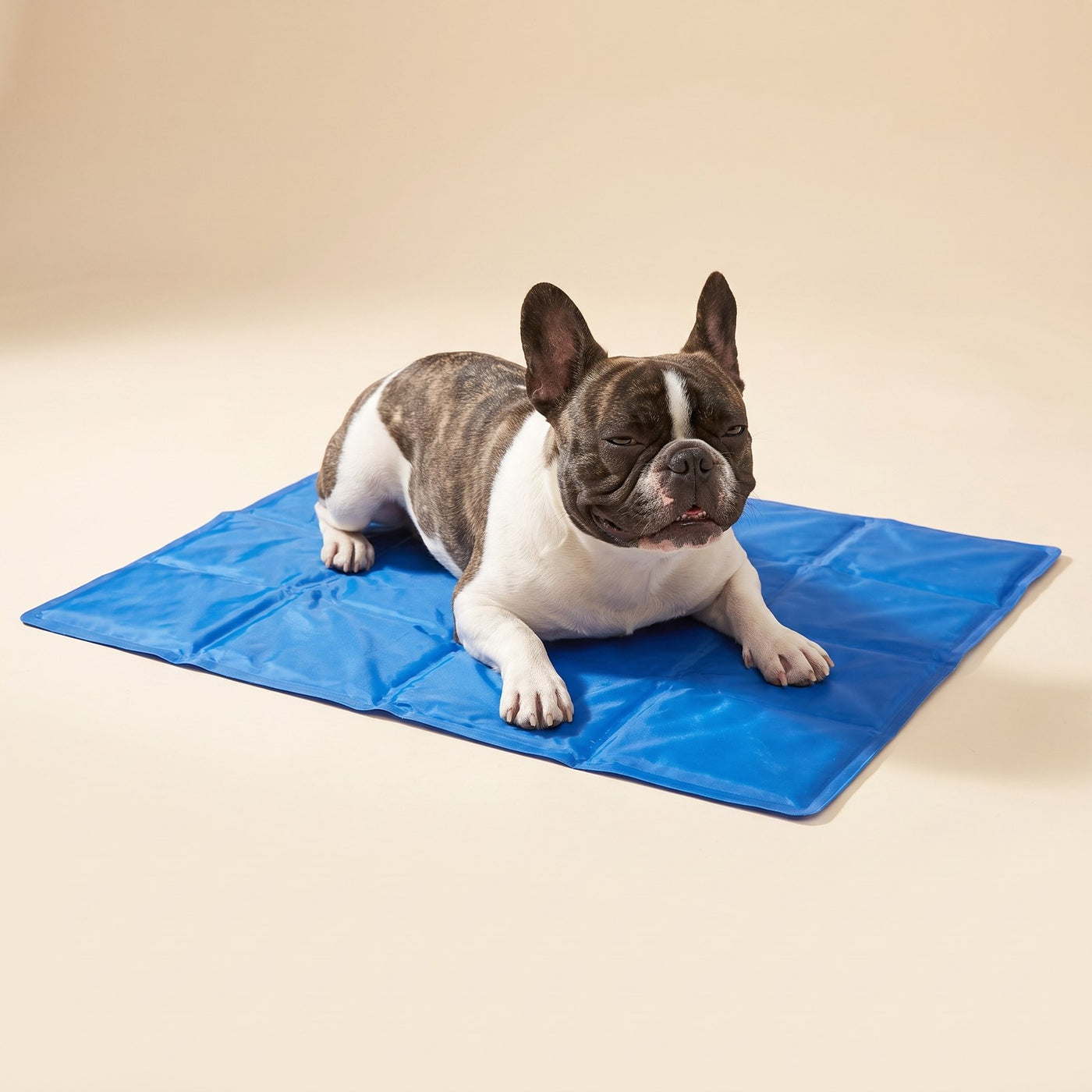 Gel Cooling Pad