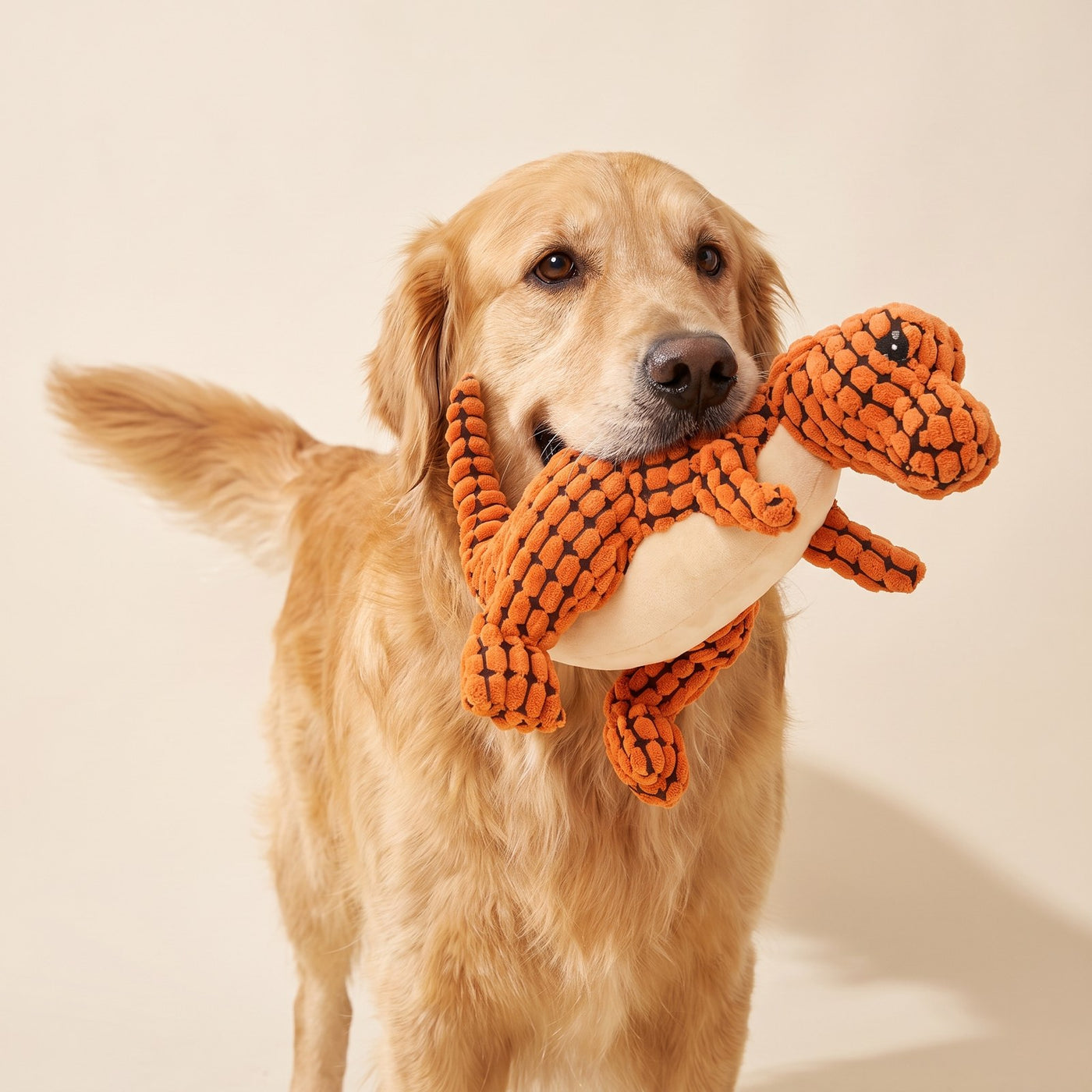 Dinosaur Chew Toy