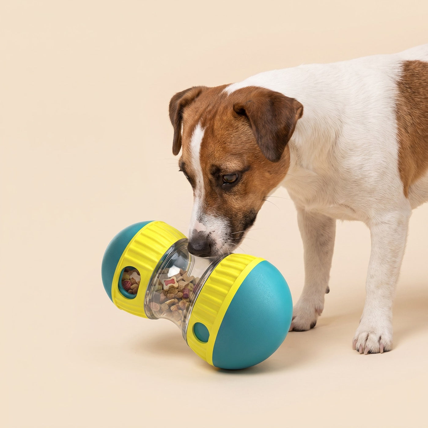 Treat Tumbler Puzzle Toy