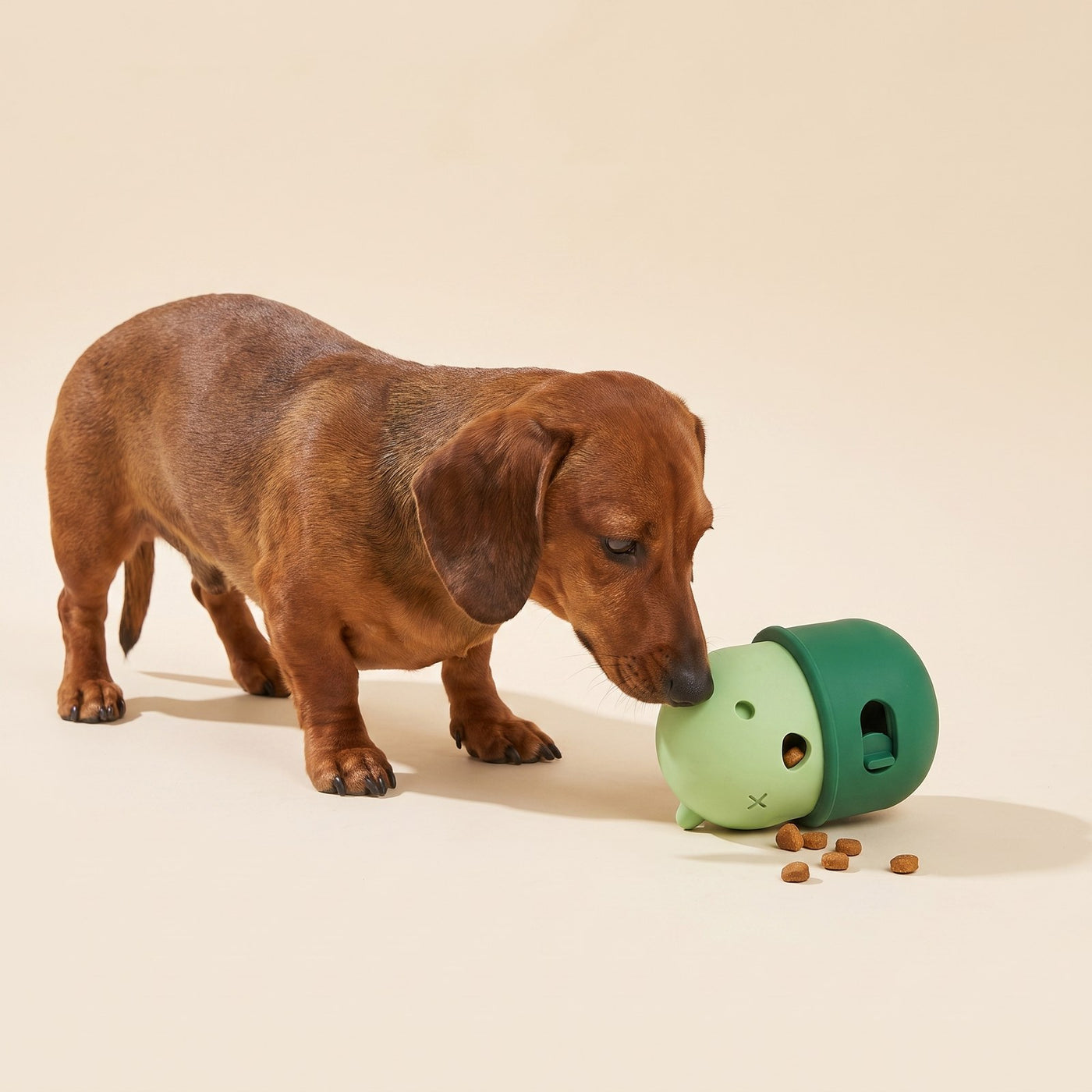 Treat Feeder Ball