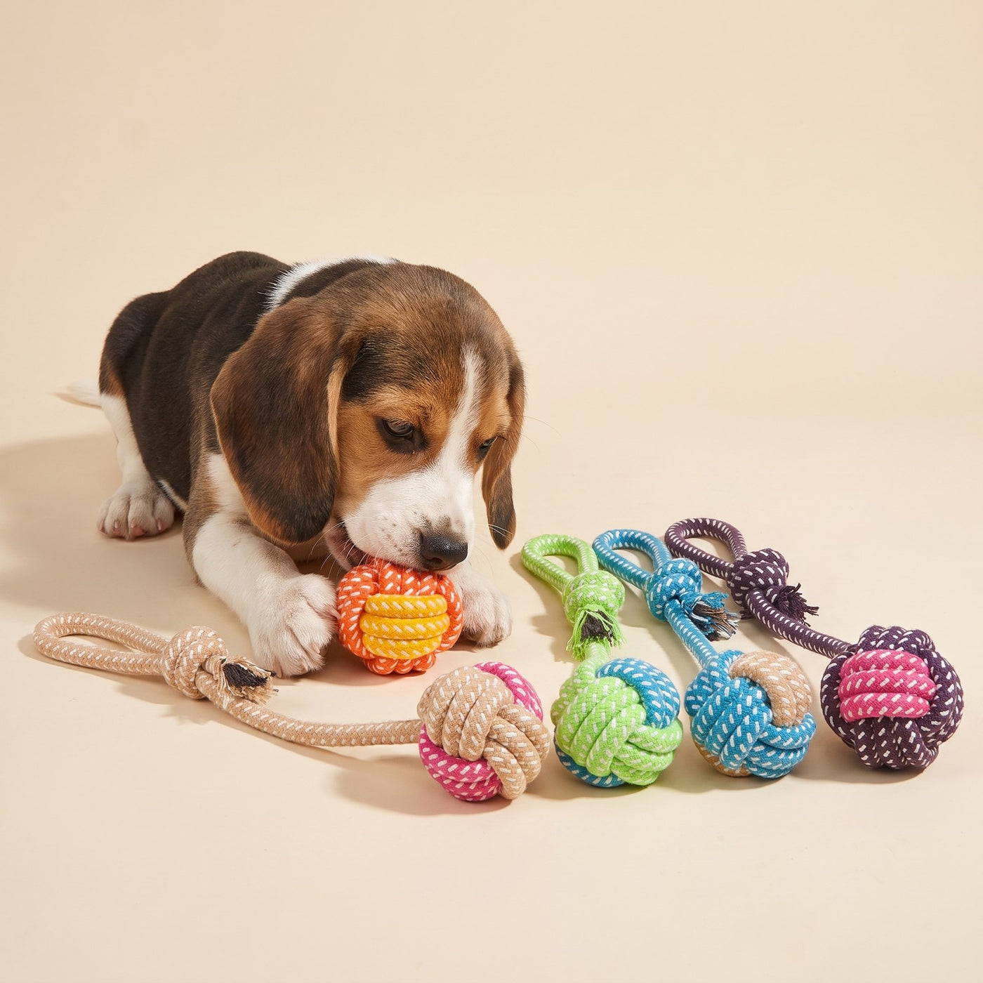 Rope Toy 5 Pack