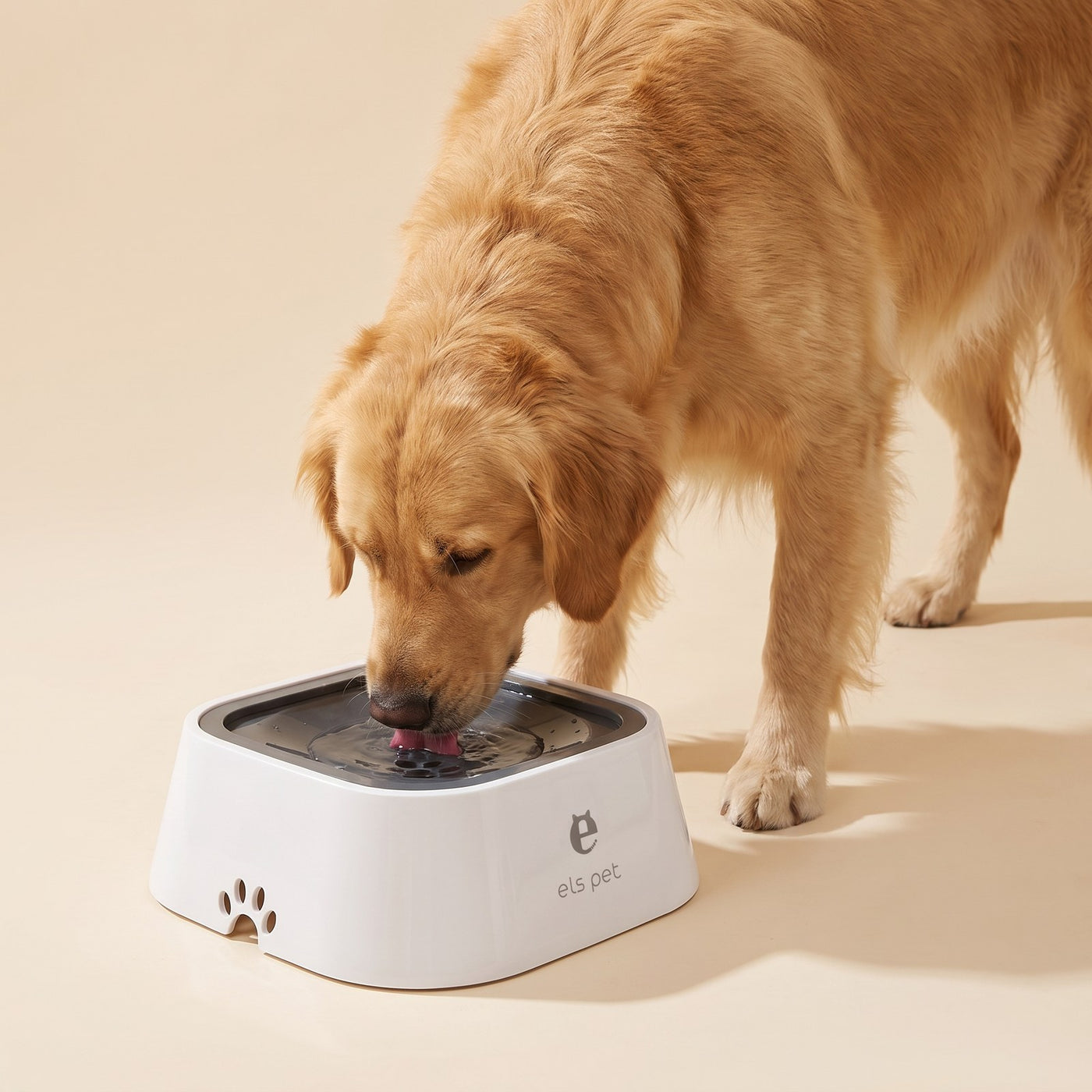 No-Spill Water Bowl 1.5L
