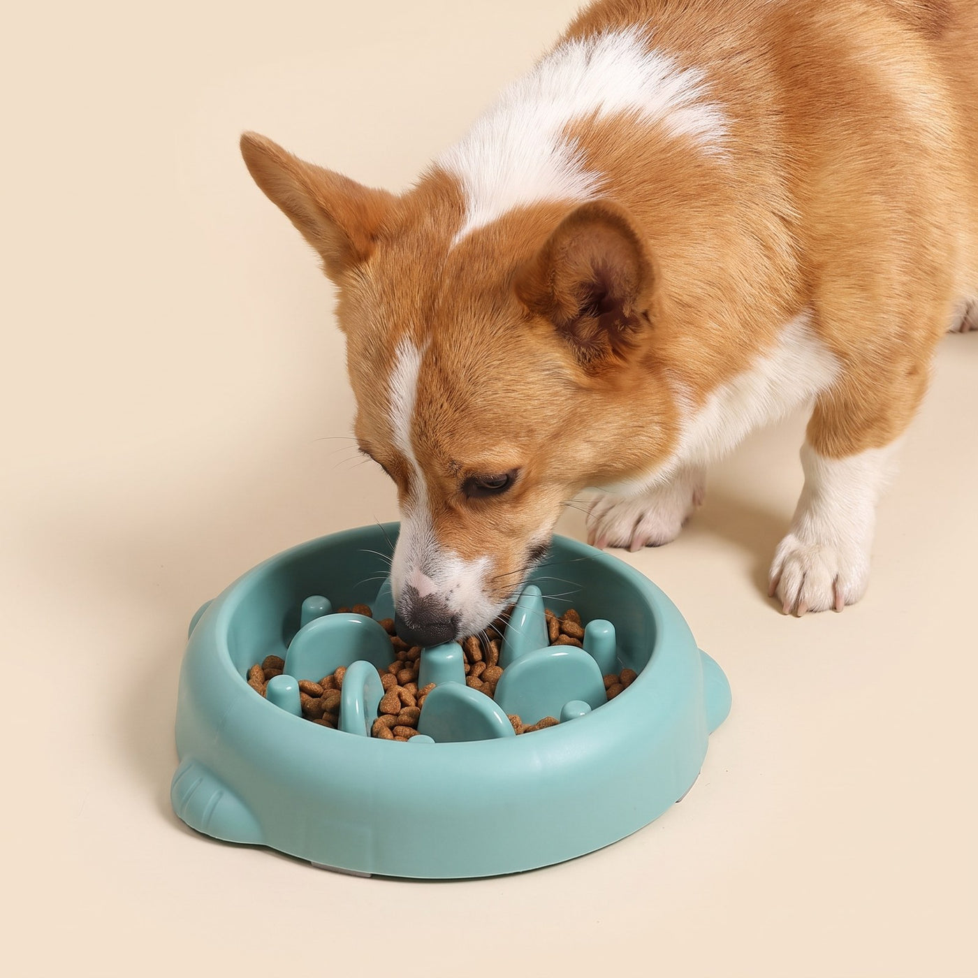 Slow Feeder Bowl