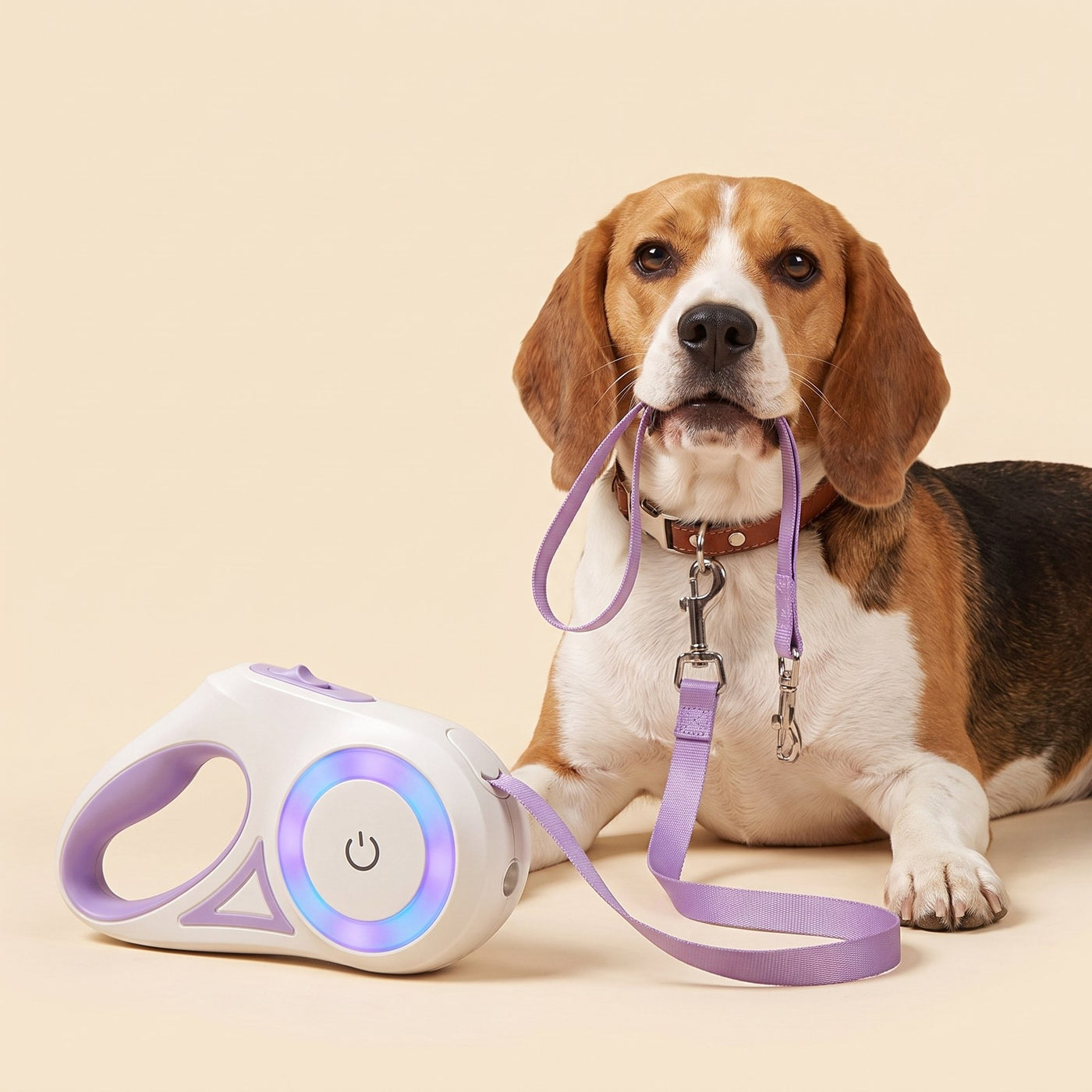 Retractable Leash With Light