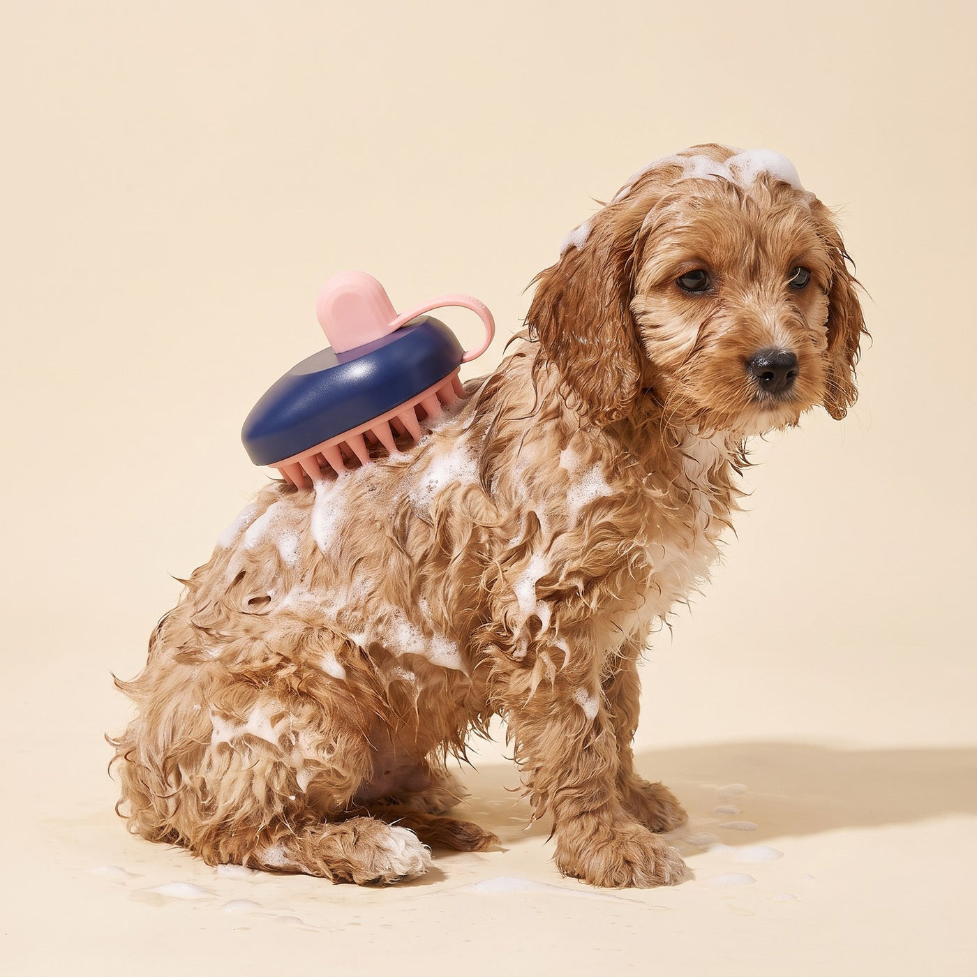 Mouse Bath Brush