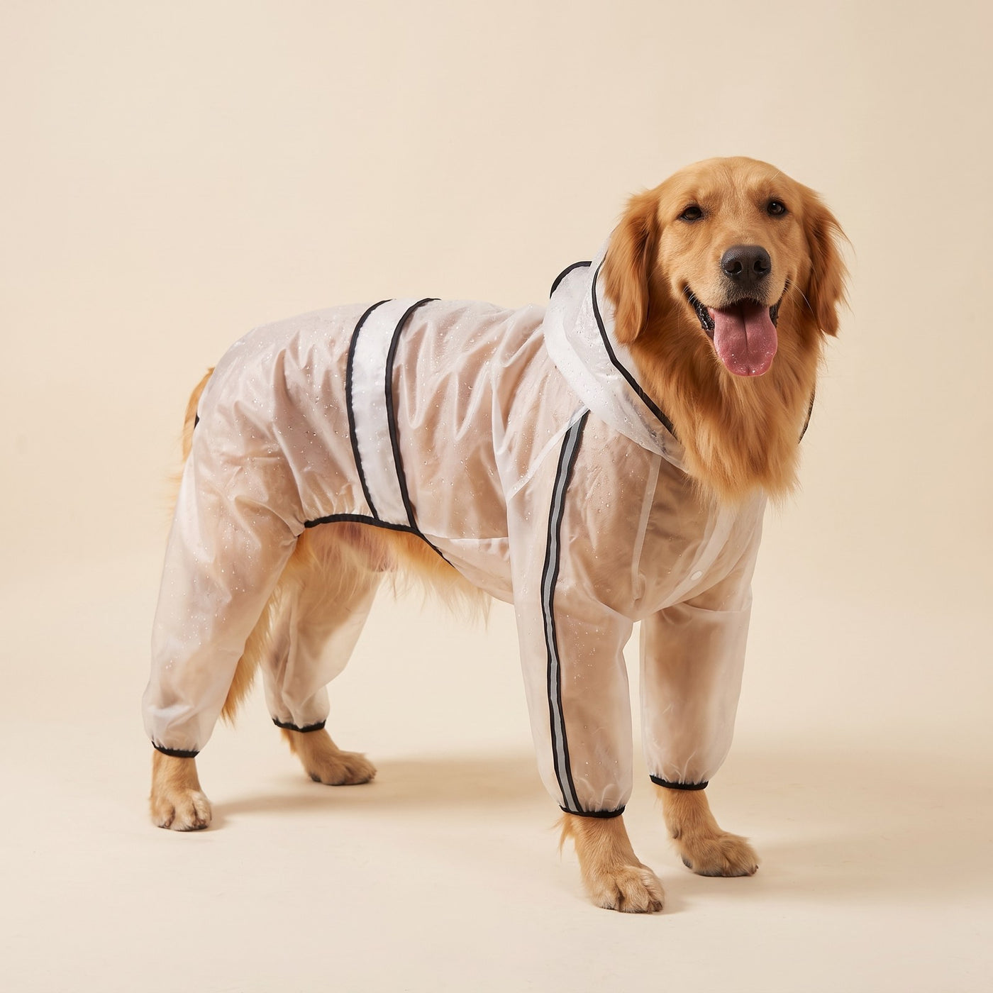 Clear Raincoat