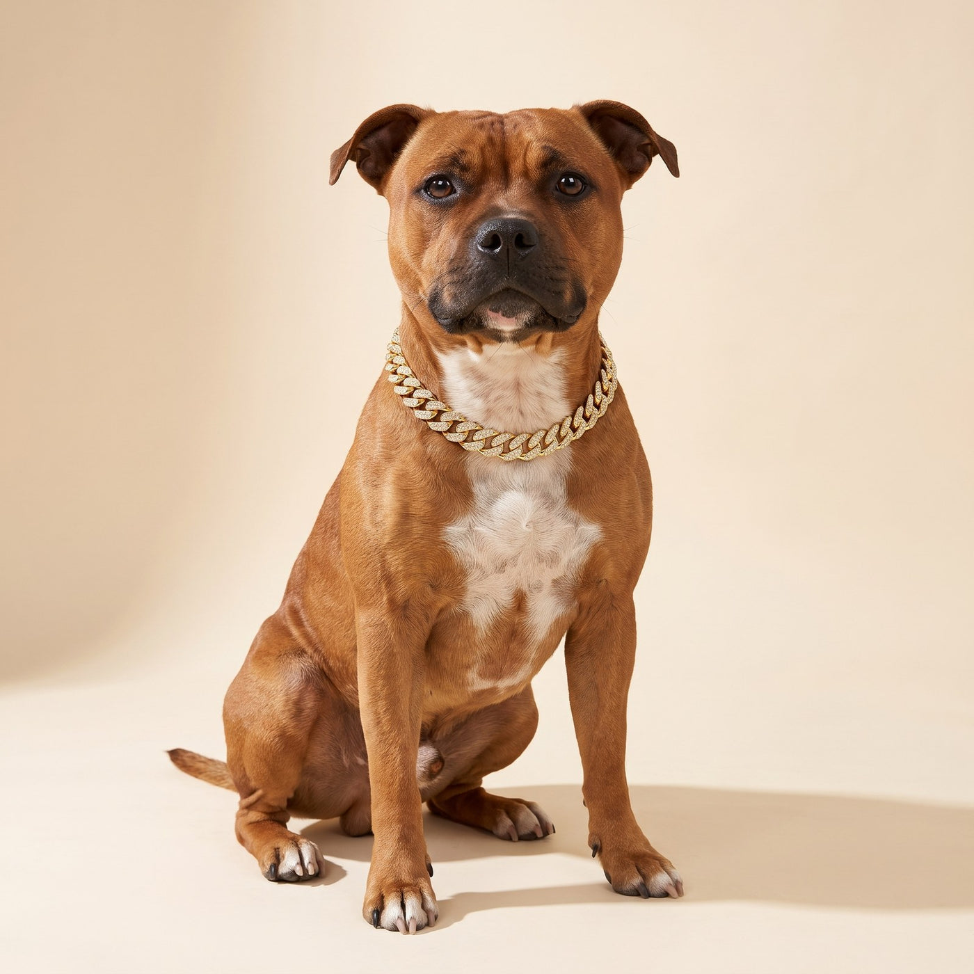 Cuban Link Collar
