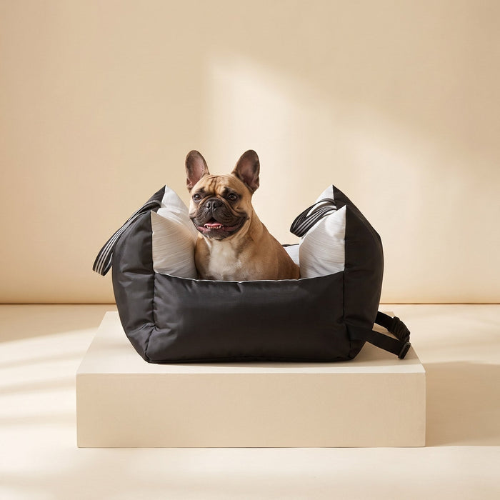 French bulldog in the booster seat cover