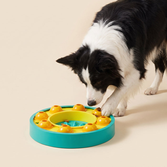 Dog eating from the puzzle slow feeder