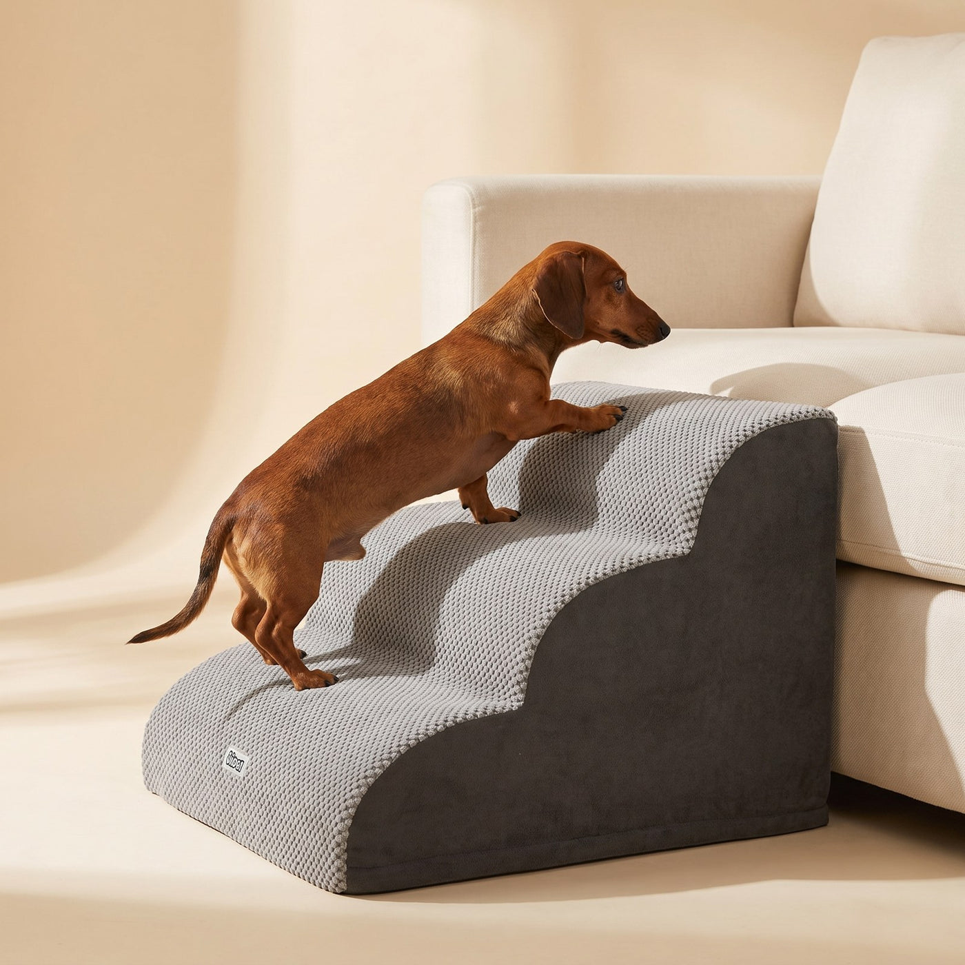 Dachshund climbing the Foam Pet Stairs