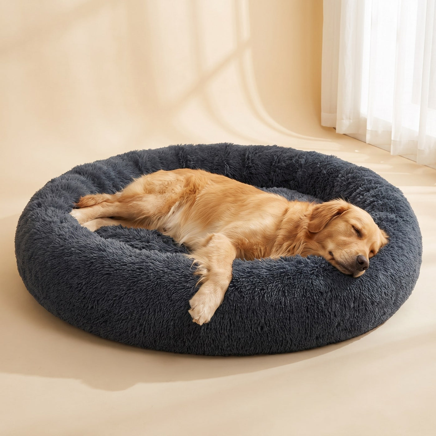 Golden retriever asleep in the Extra Large Calming Bed