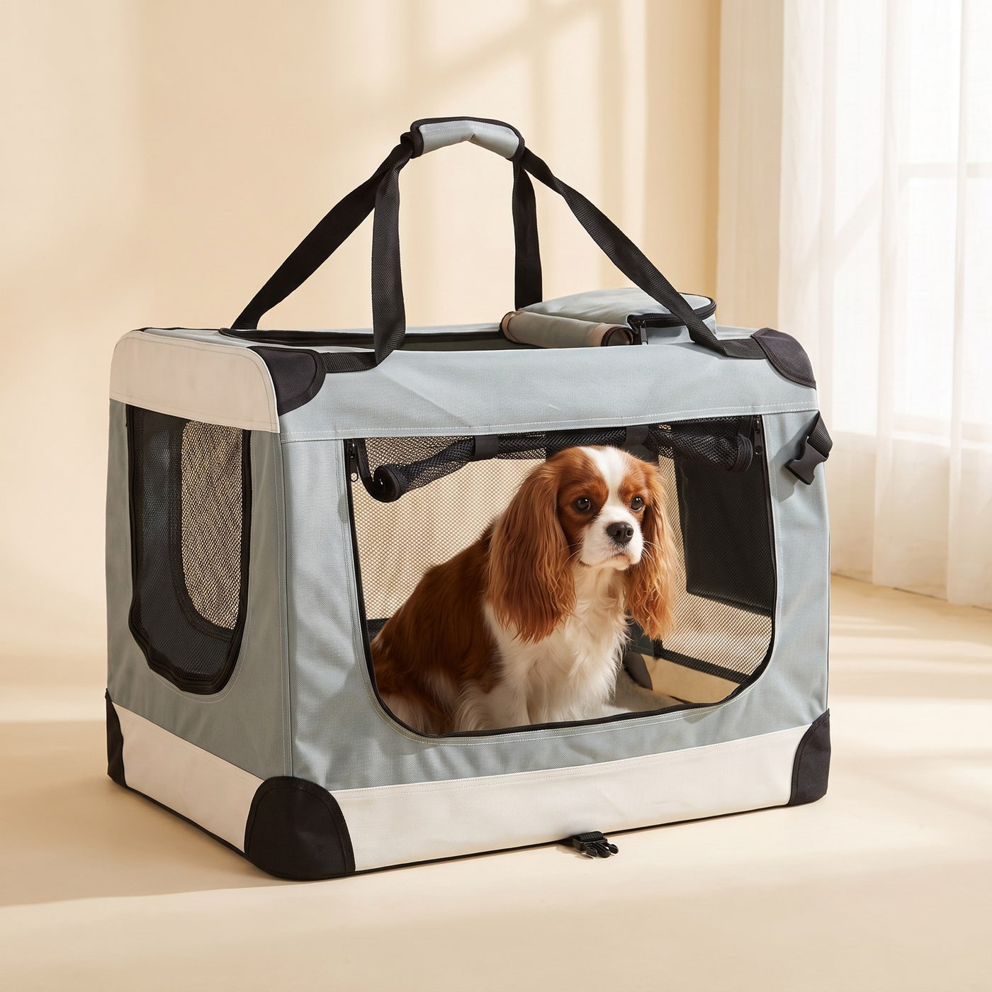 Cavalier spaniel in the Soft Travel Crate