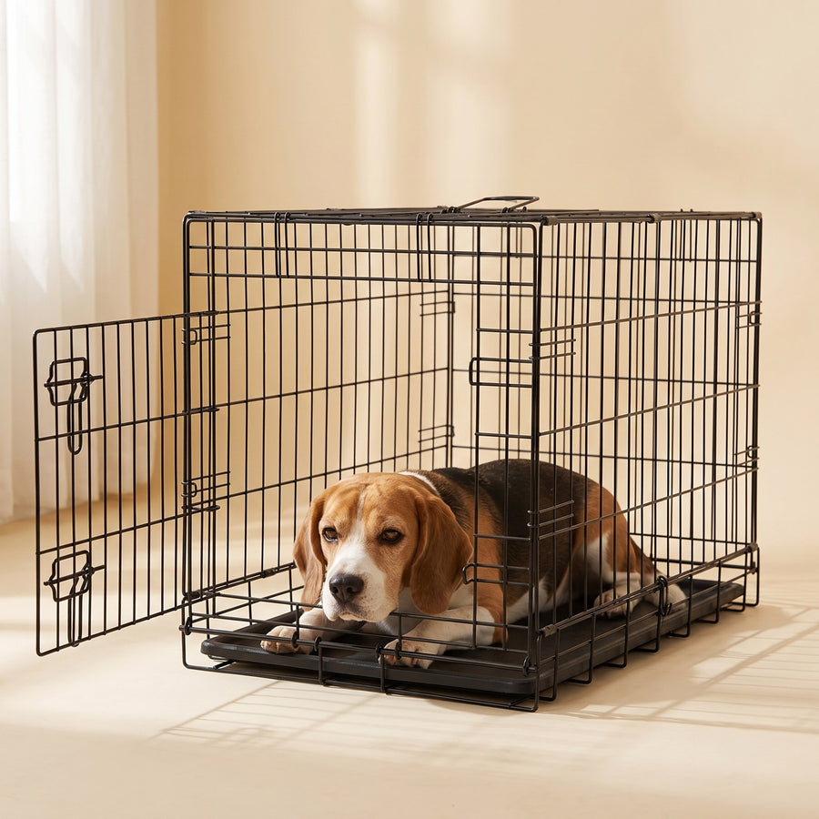 Beagle resting inside the Three-Door Dog Crate