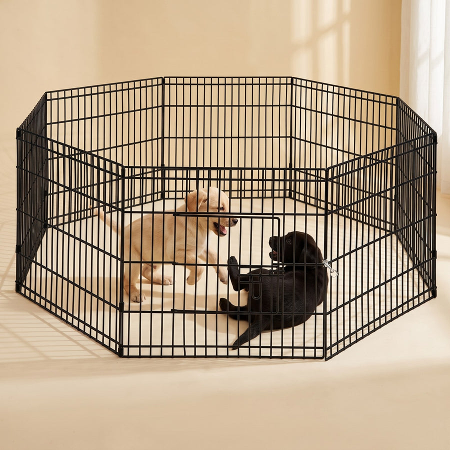 Puppies playing inside the 8-Panel Exercise Playpen