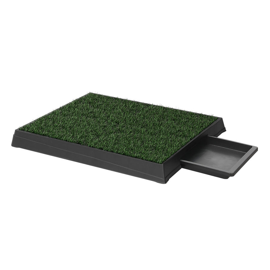 Indoor Grass Loo