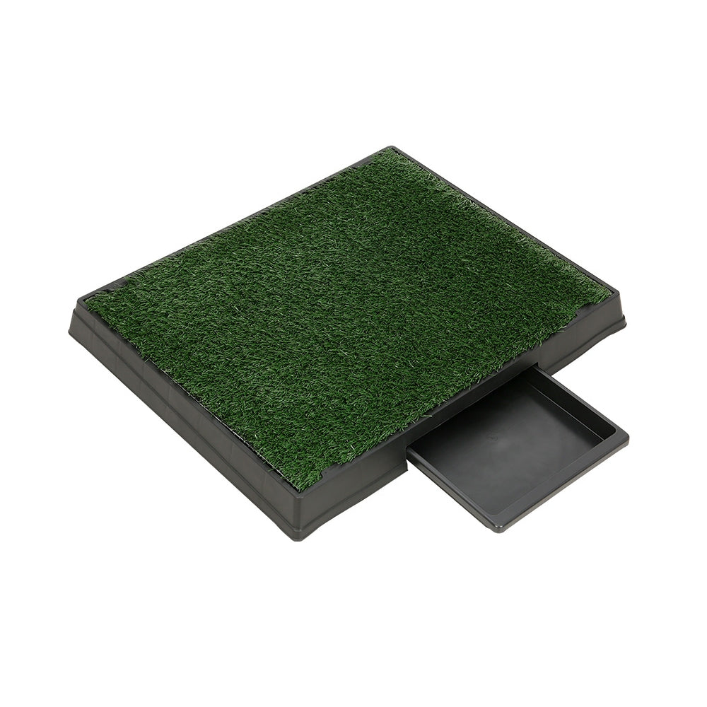 Indoor Grass Loo