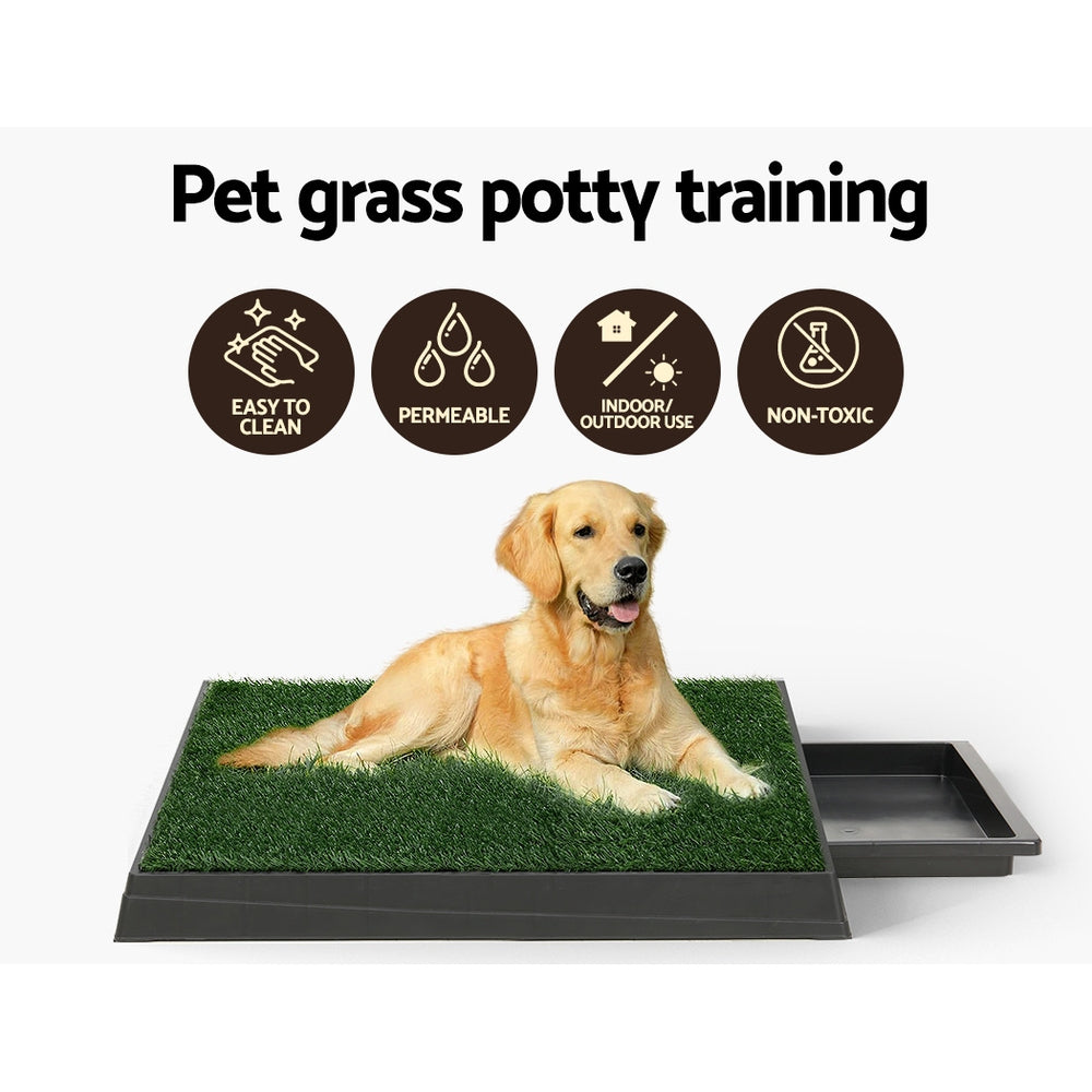 Indoor Grass Loo
