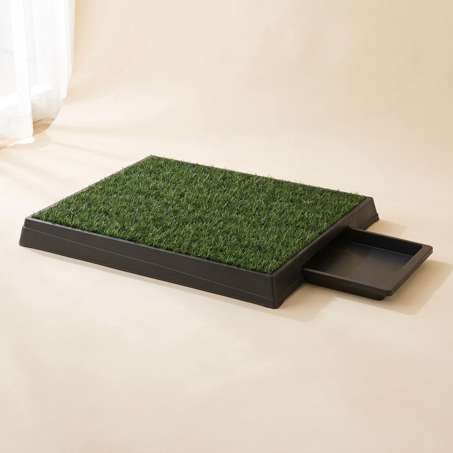 Indoor Grass Loo