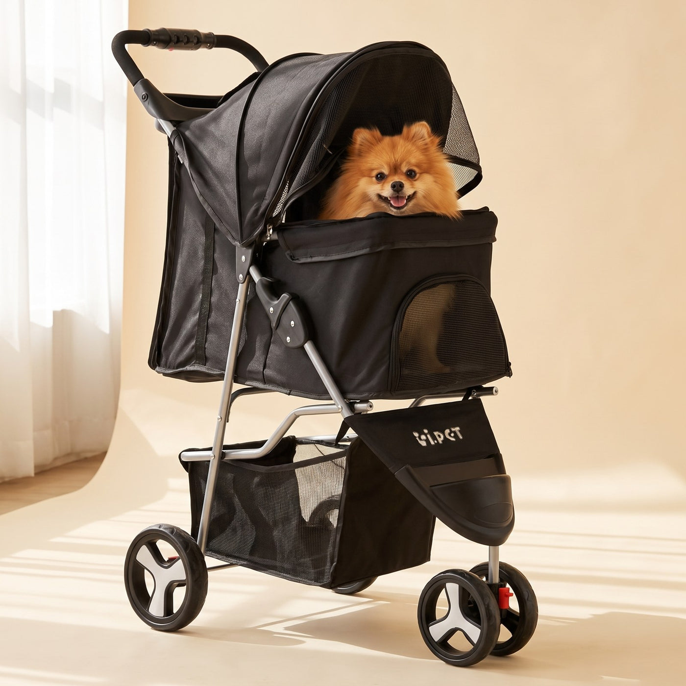 Pomeranian in the Three-Wheel Pet Stroller