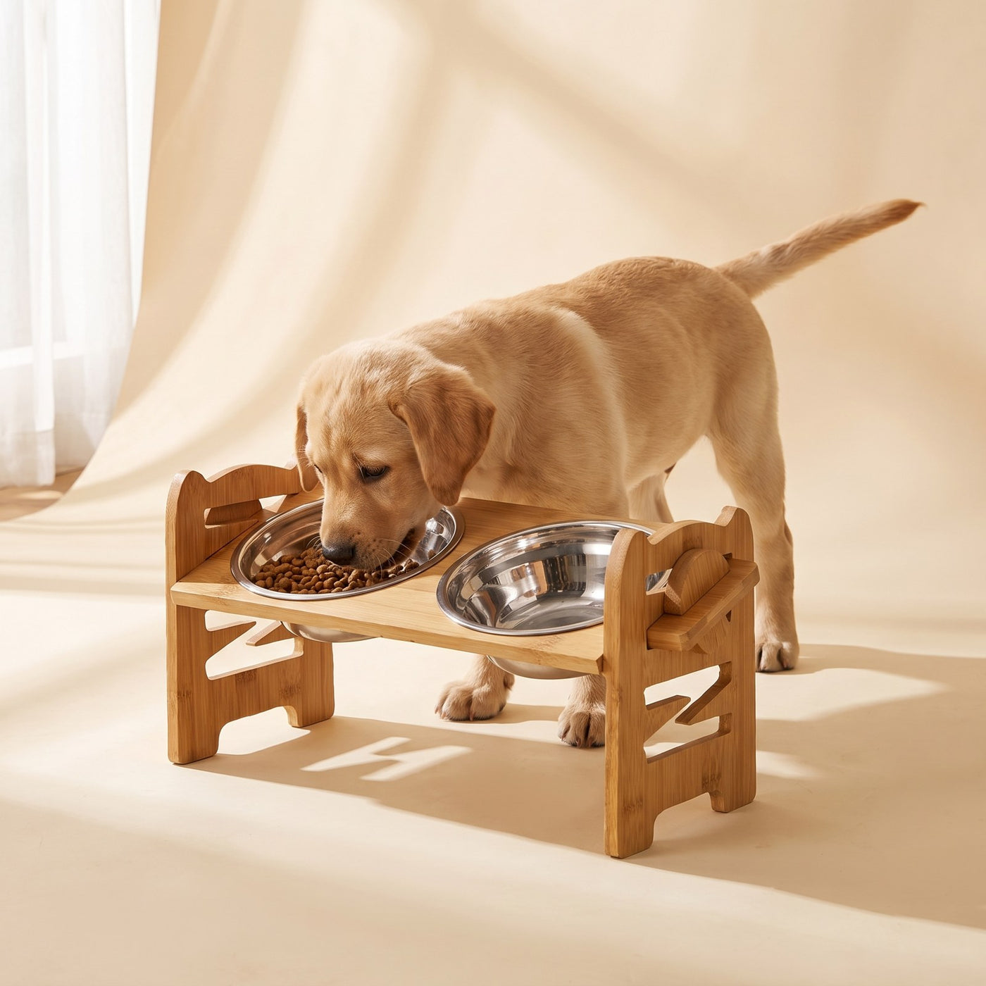 Labrador puppy eating from the Elevated Timber Feeder