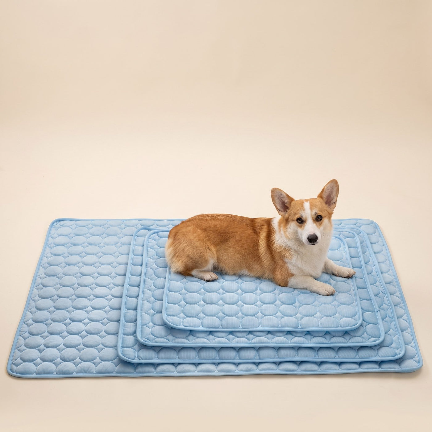 Ice Silk Cooling Pad