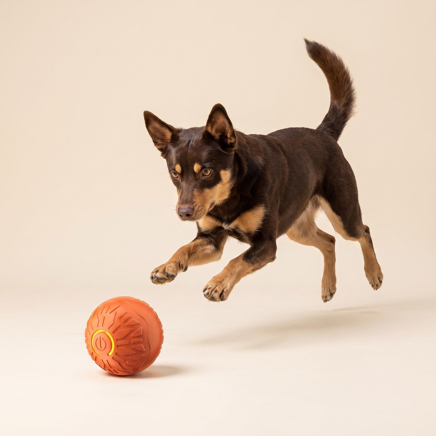 Auto Jumping Ball