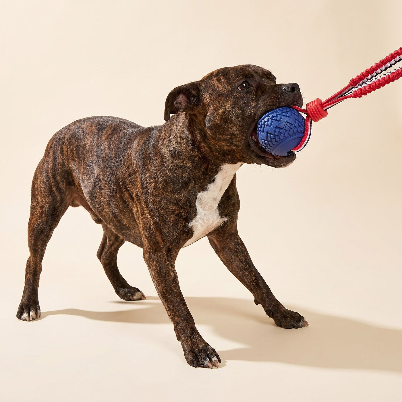 Teether Ball On Rope