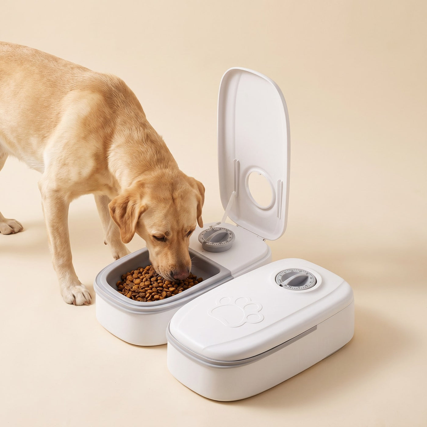Automatic Smart Feeder