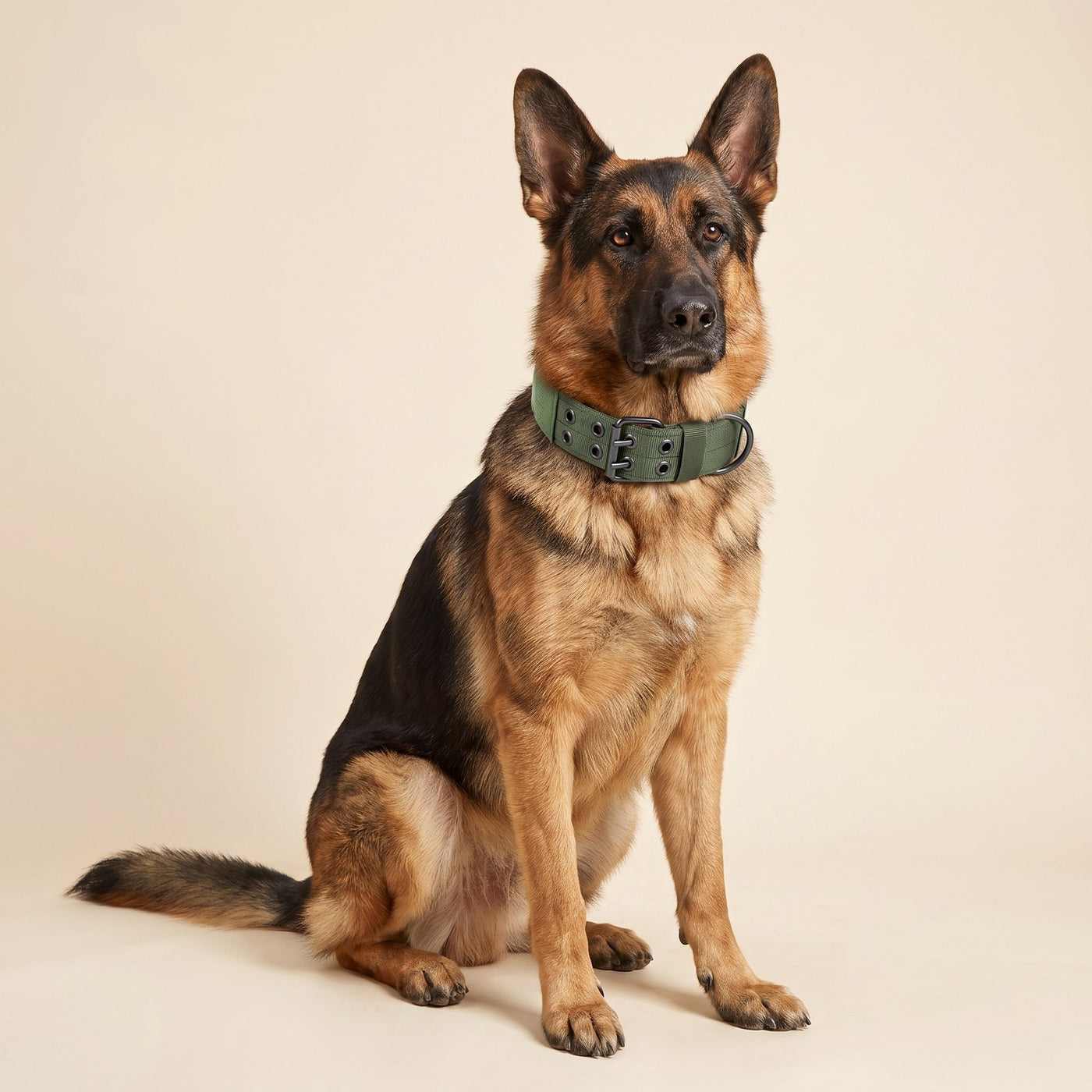 Heavy-Duty Collar Set