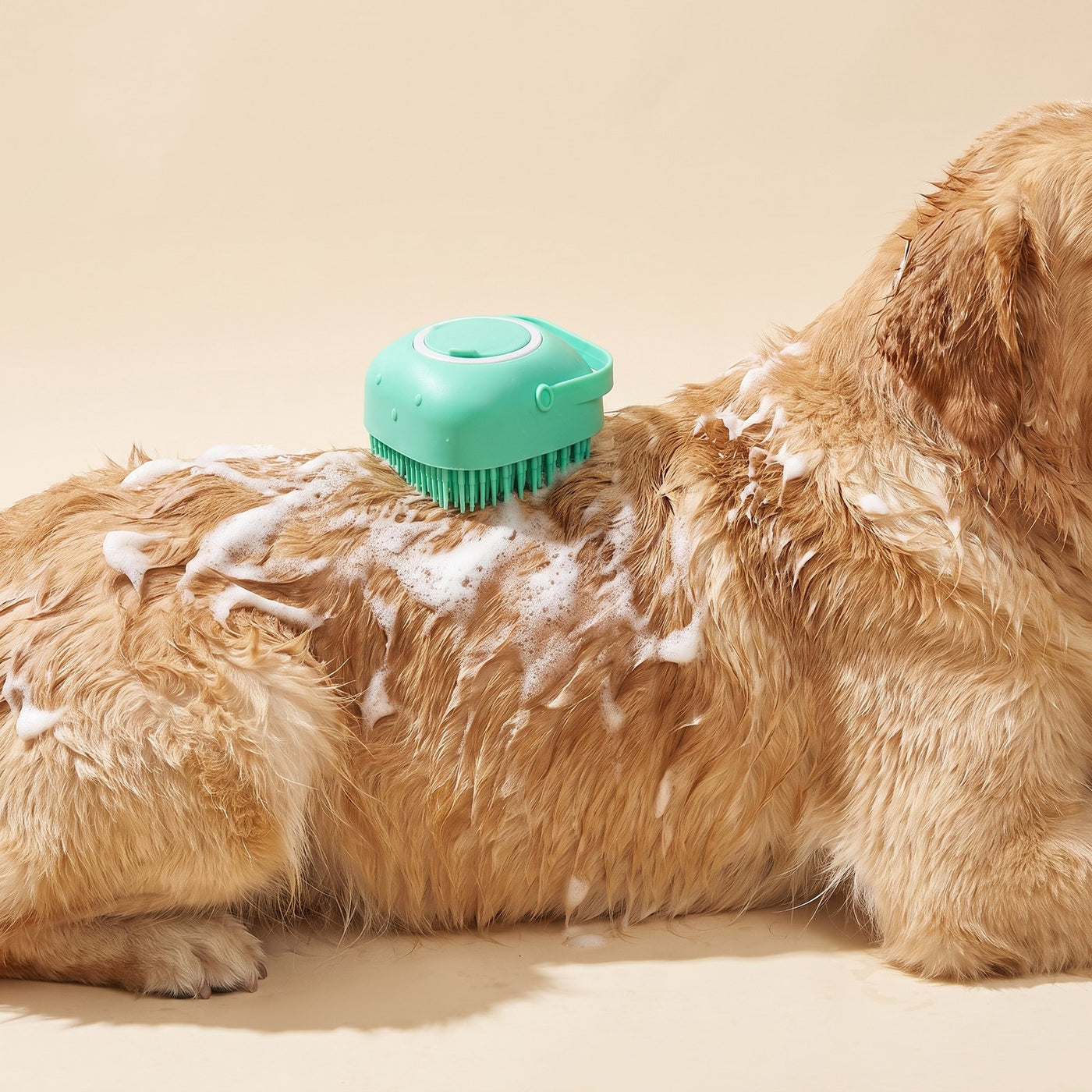 Bath Massage Brush
