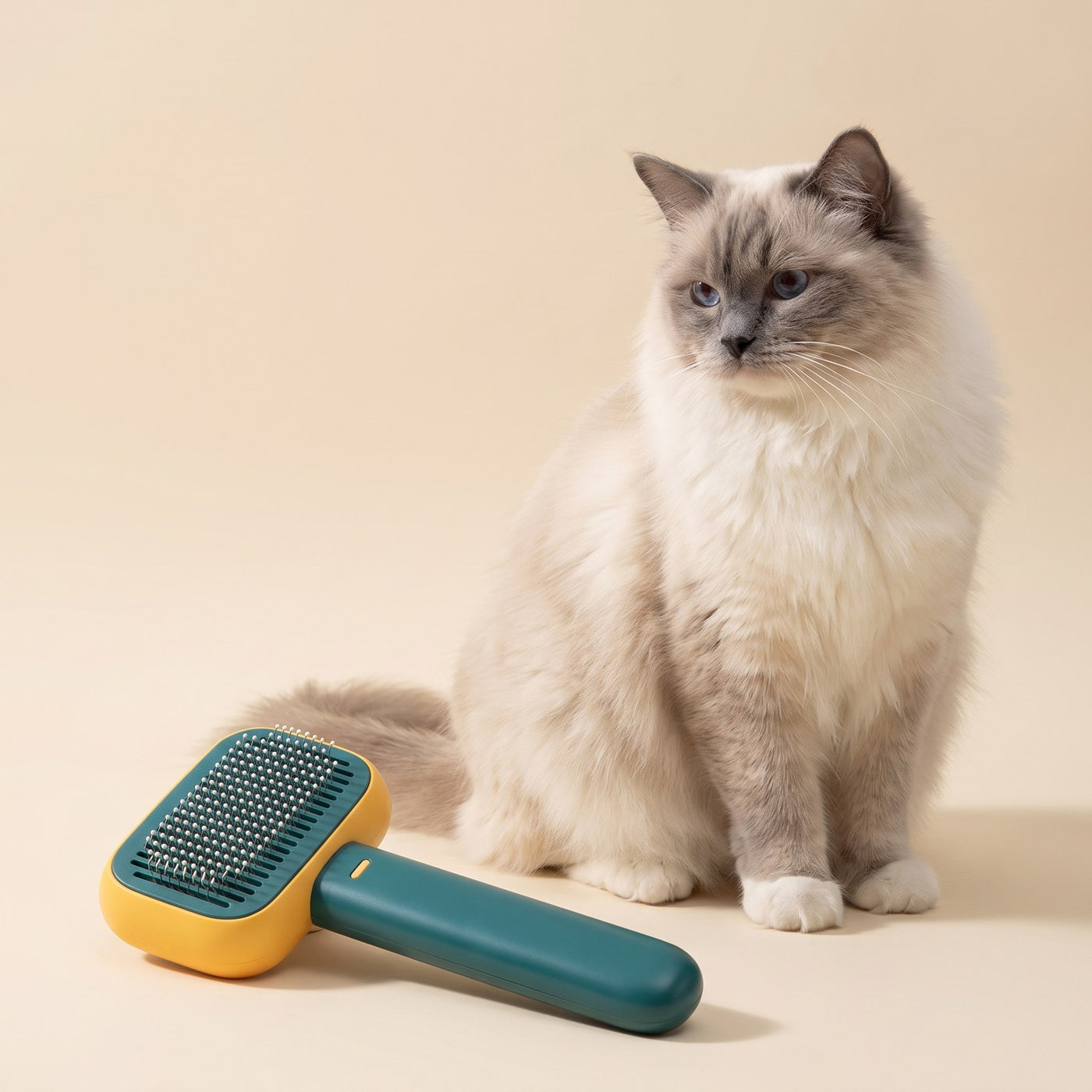 Self-Cleaning Brush