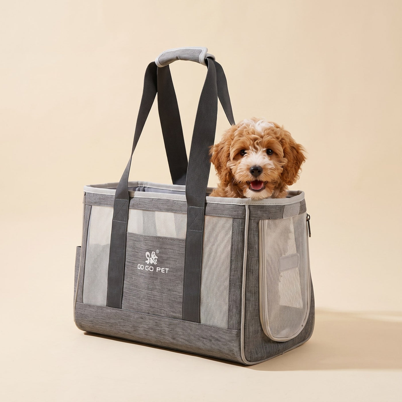Carrier Backpack