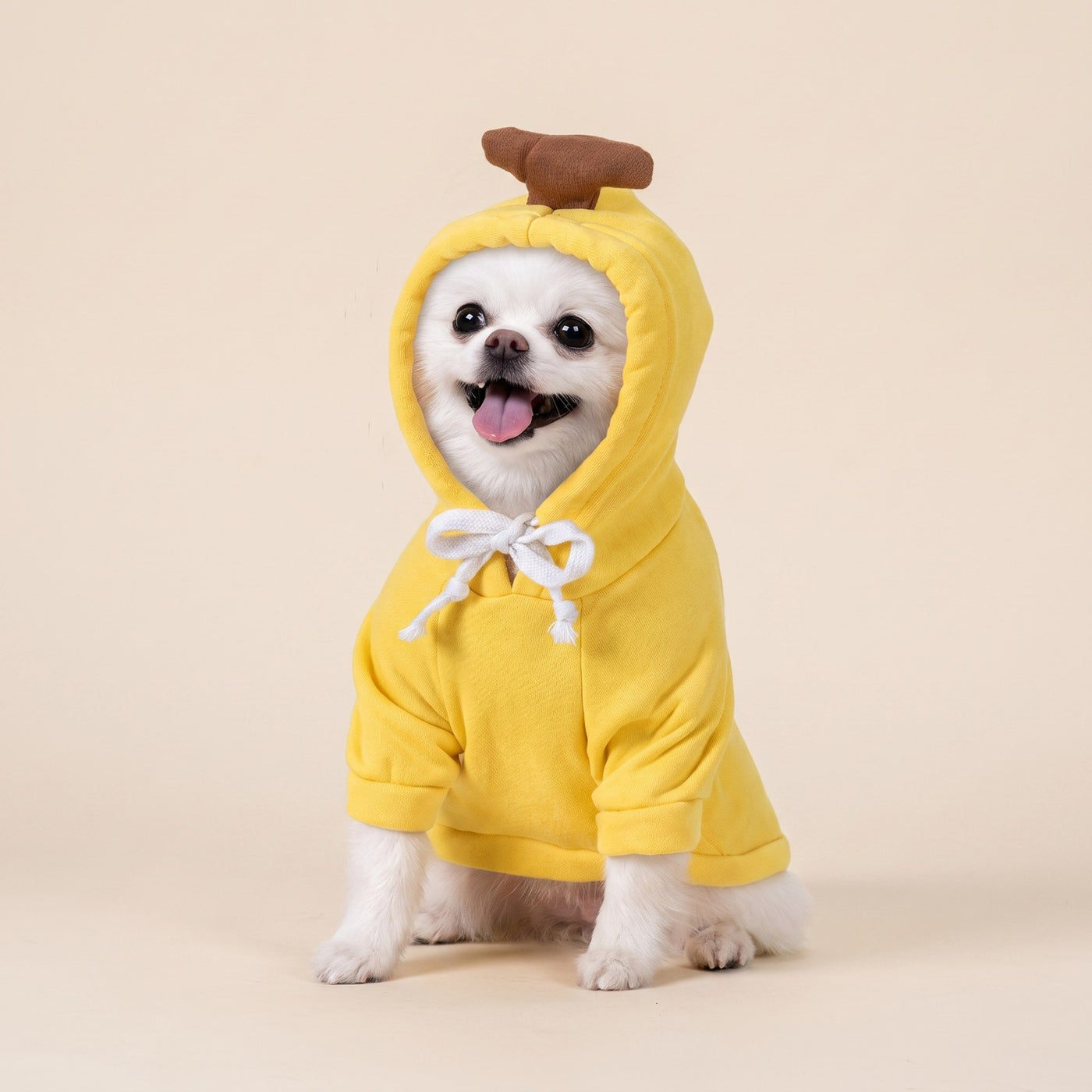 Fruit Hoodie