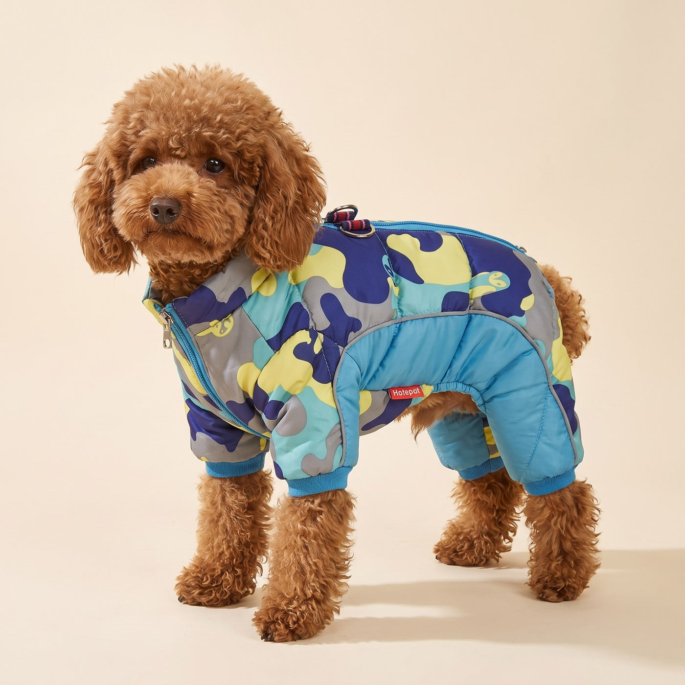 Winter Puffer Jacket