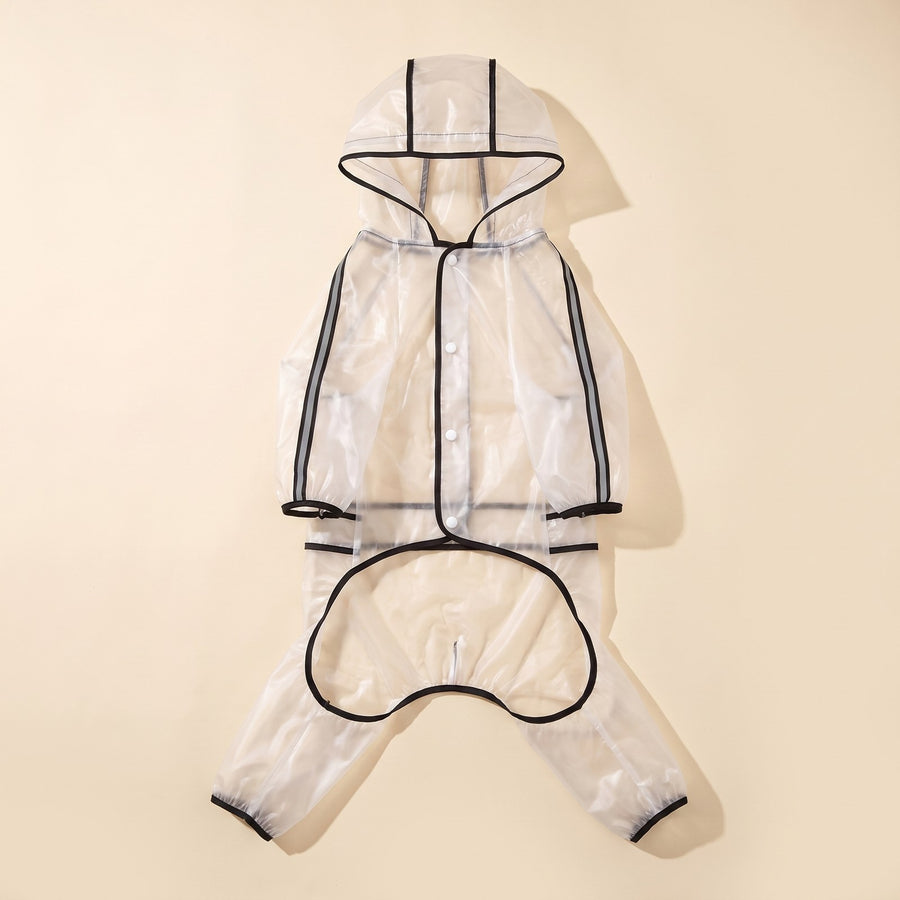 Clear Raincoat