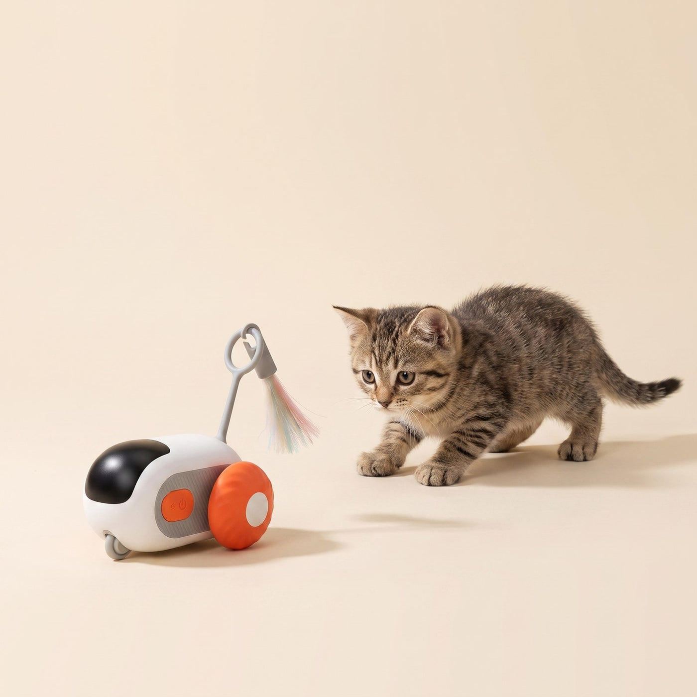 Smart Chase Car Toy
