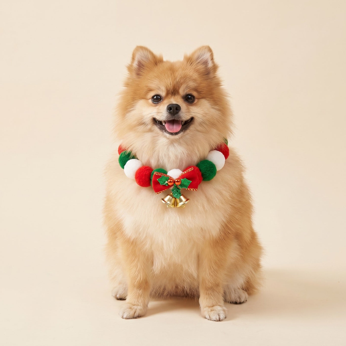 Festive Pom Collar