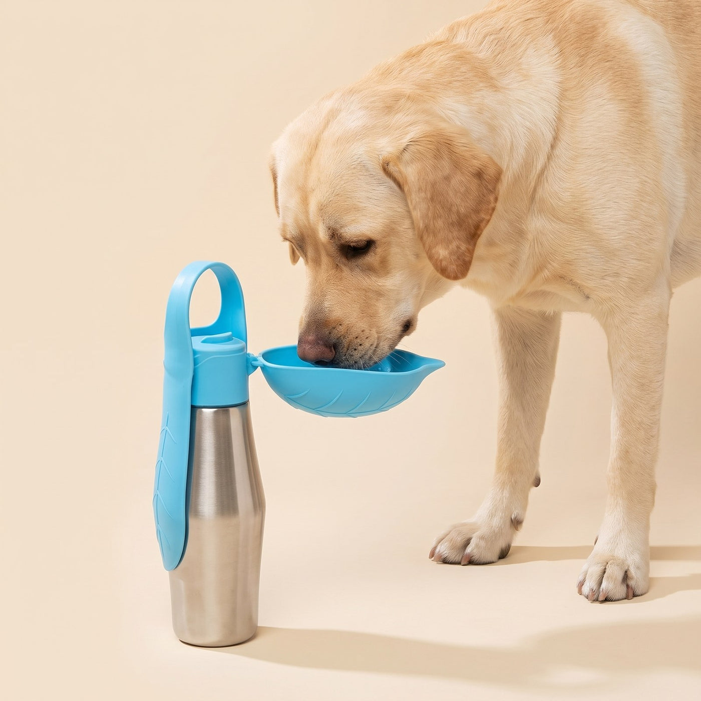 Leaf Water Bottle